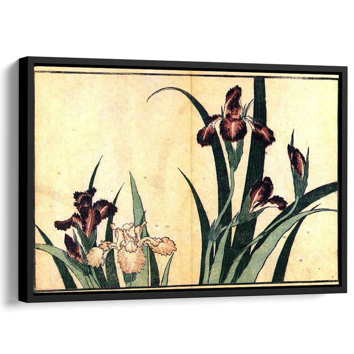 Irises by Katsushika Hokusai