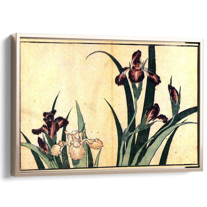 Irises by Katsushika Hokusai