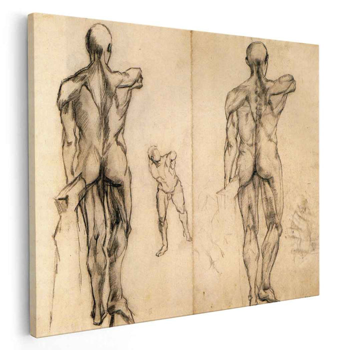 L'Ecorche and Borghese Gladiator (1887) by Vincent van Gogh