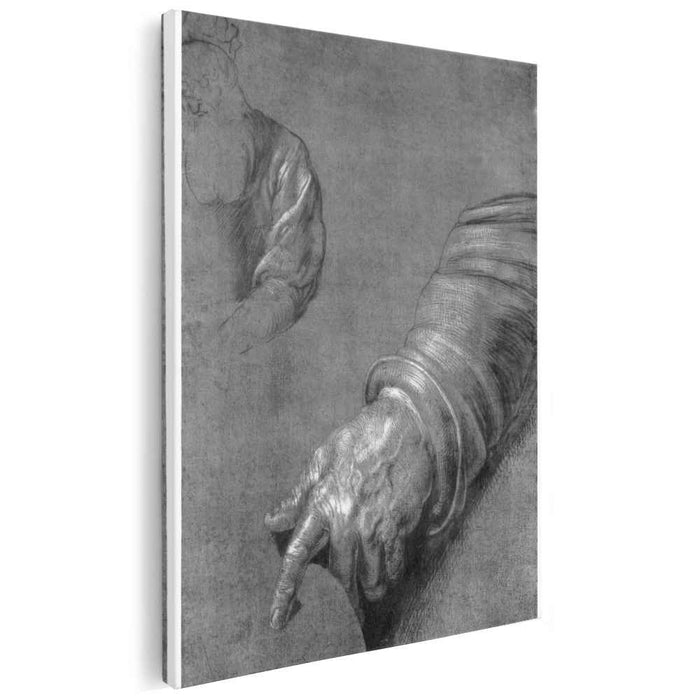 Left Arm (1521) by Albrecht Durer