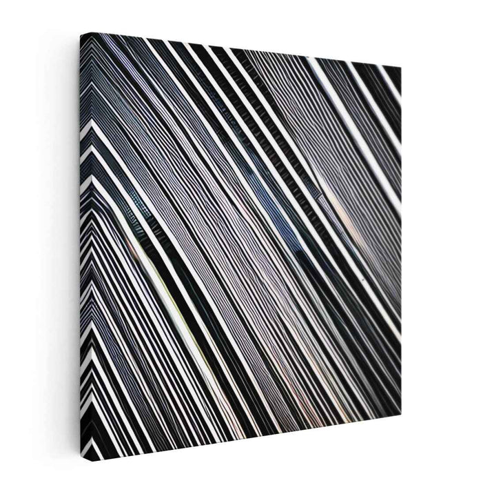 Illusionary Echoes: Monochromatic Op Art Line Pattern Canvas