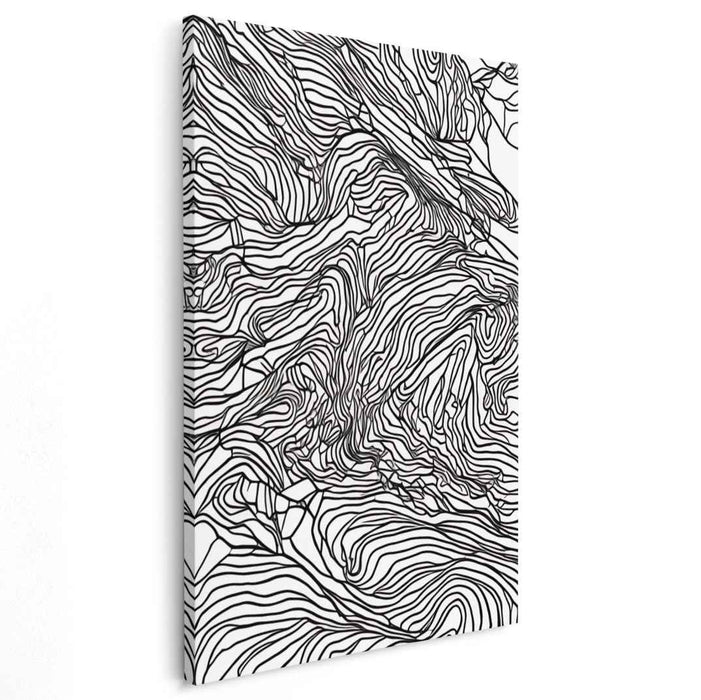Inkblot Echoes: Monochrome Topography Abstract Canvas Art