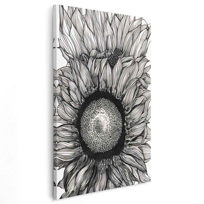 Intricate Sunflower: Monochrome Botanical Illustration Canvas Art Print
