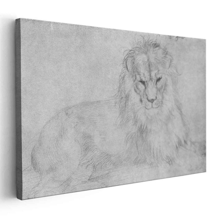 Lion (1521) by Albrecht Durer