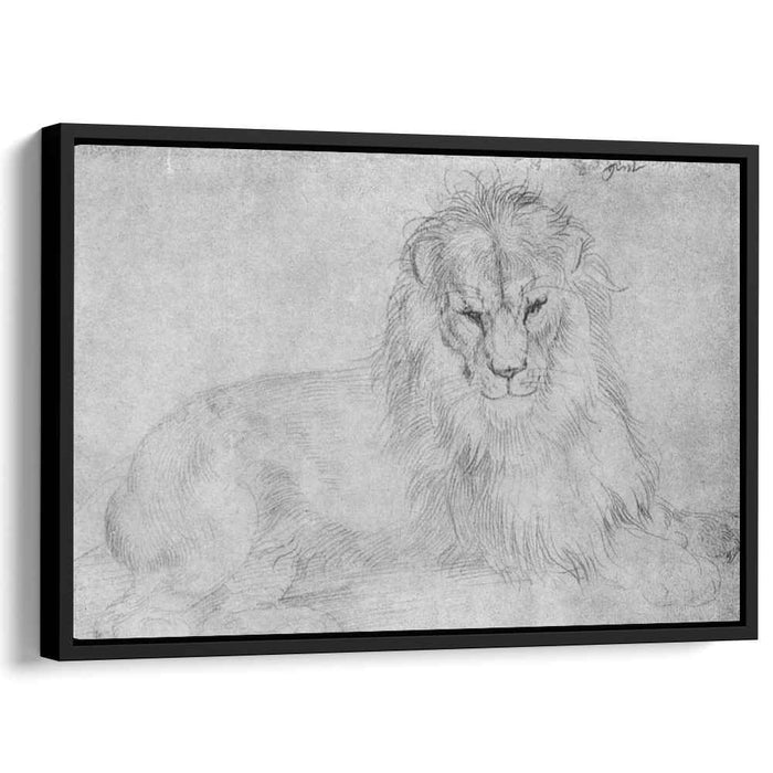 Lion (1521) by Albrecht Durer