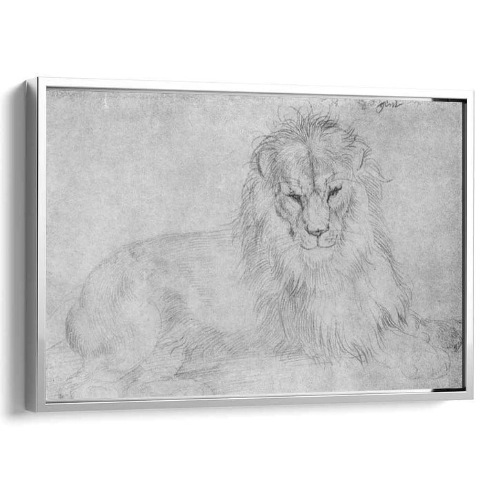 Lion (1521) by Albrecht Durer