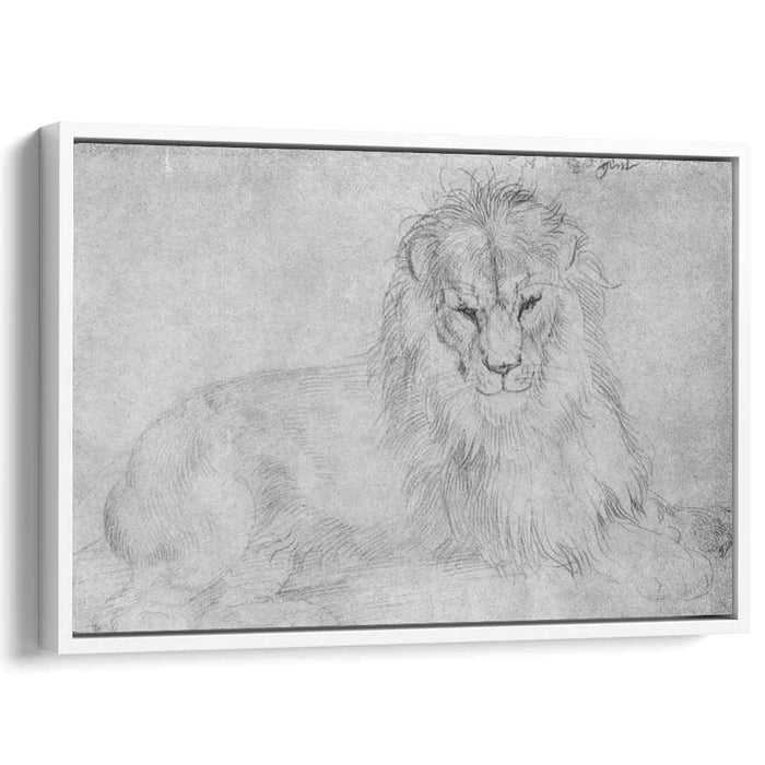 Lion (1521) by Albrecht Durer