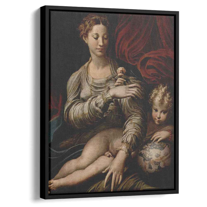 Madonna of the Rose (1530) by Parmigianino