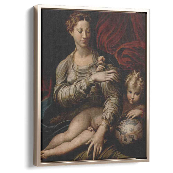 Madonna of the Rose (1530) by Parmigianino