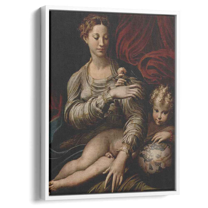 Madonna of the Rose (1530) by Parmigianino