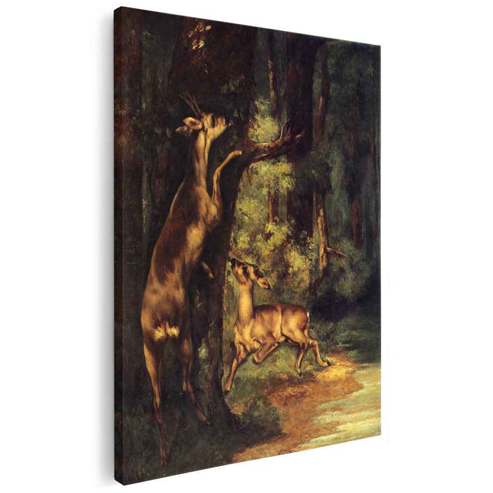 Male and Female Deer in the Woods (1864) by Gustave Courbet