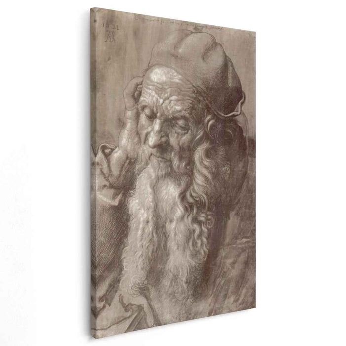Man Aged 93 (brush & ink on paper) (1521) by Albrecht Durer