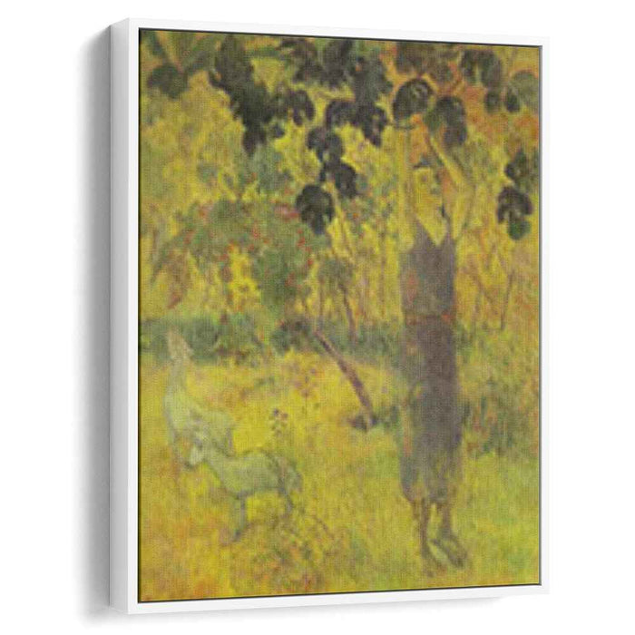 Man Picking Fruit from a Tree (1897) by Paul Gauguin
