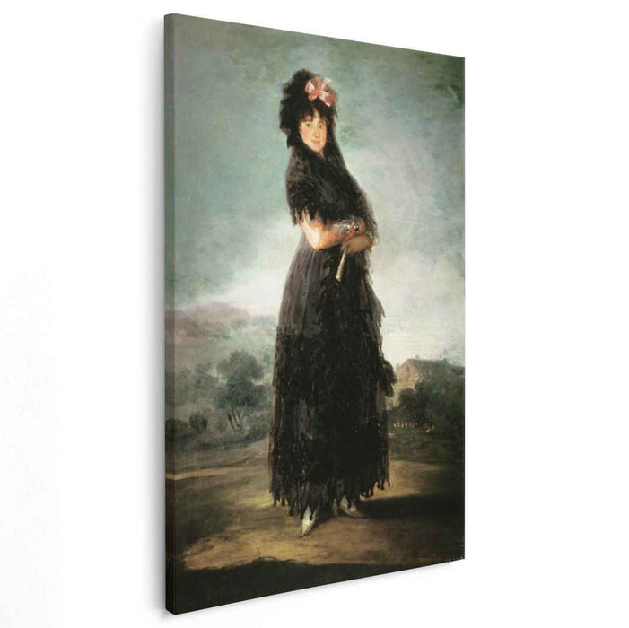Mariana Waldstein, Ninth Marquesa de Santa Cruz by Francisco Goya