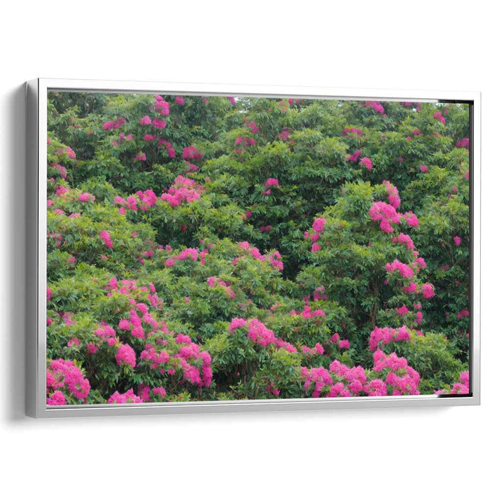 Modern Oil Rhododendron #119