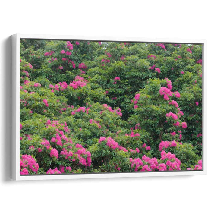 Modern Oil Rhododendron #119