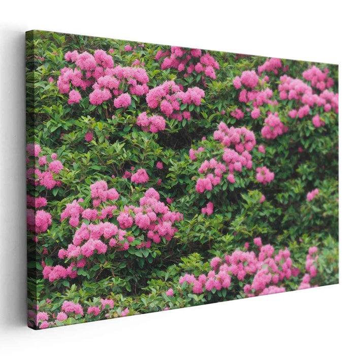 Modern Oil Rhododendron #125