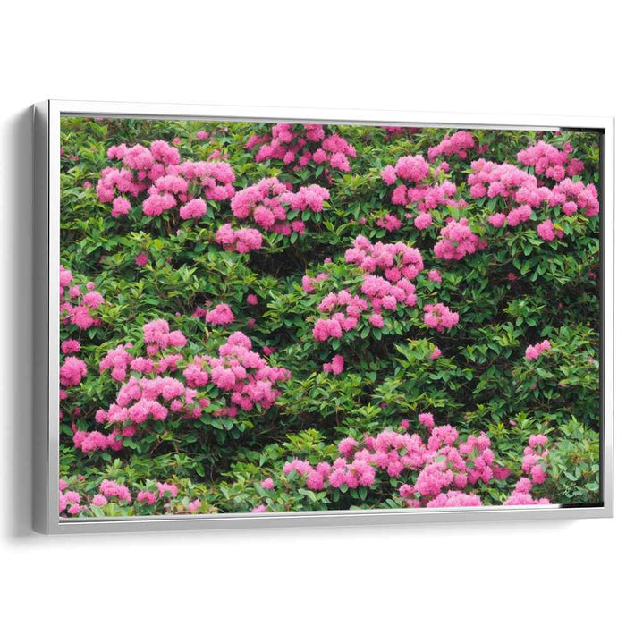 Modern Oil Rhododendron #125