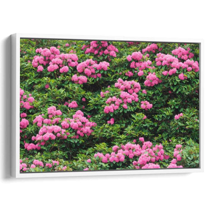 Modern Oil Rhododendron #125