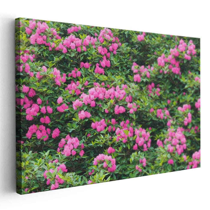 Modern Oil Rhododendron #130