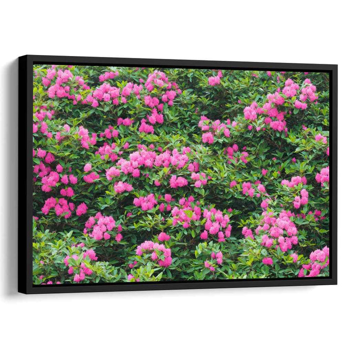 Modern Oil Rhododendron #130