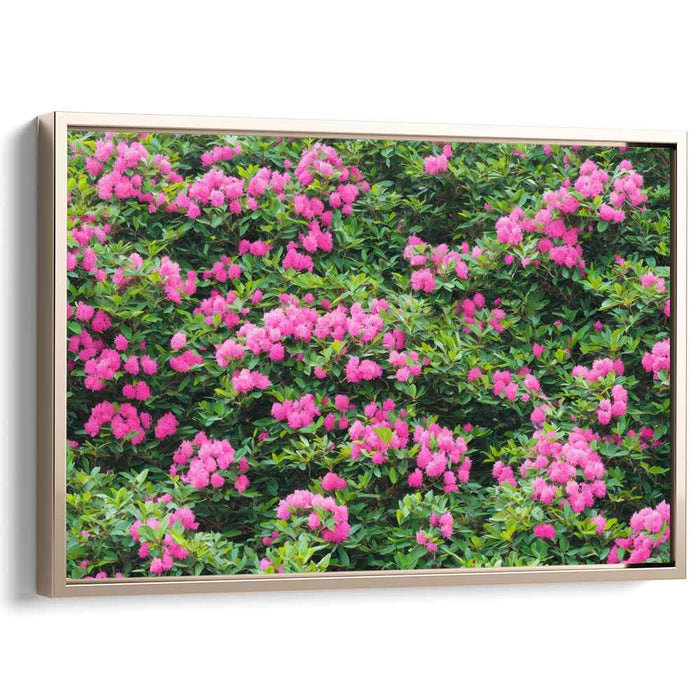 Modern Oil Rhododendron #130