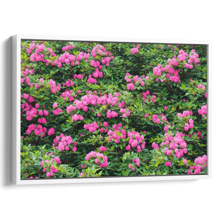 Modern Oil Rhododendron #130