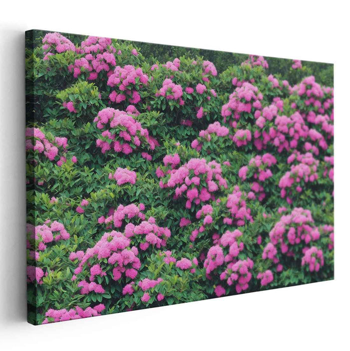 Modern Oil Rhododendron #135