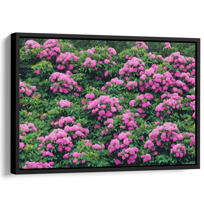 Modern Oil Rhododendron #135