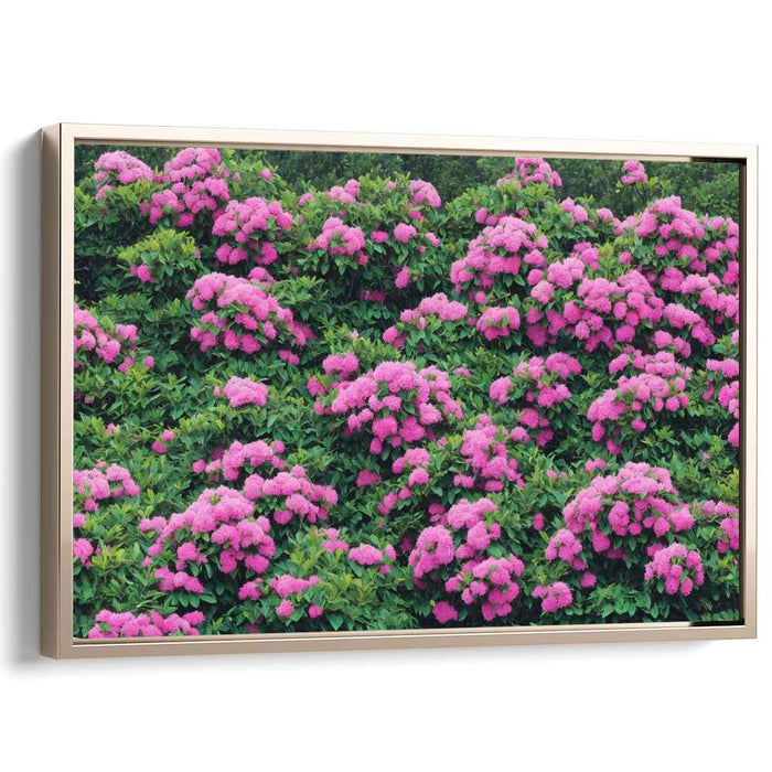 Modern Oil Rhododendron #135