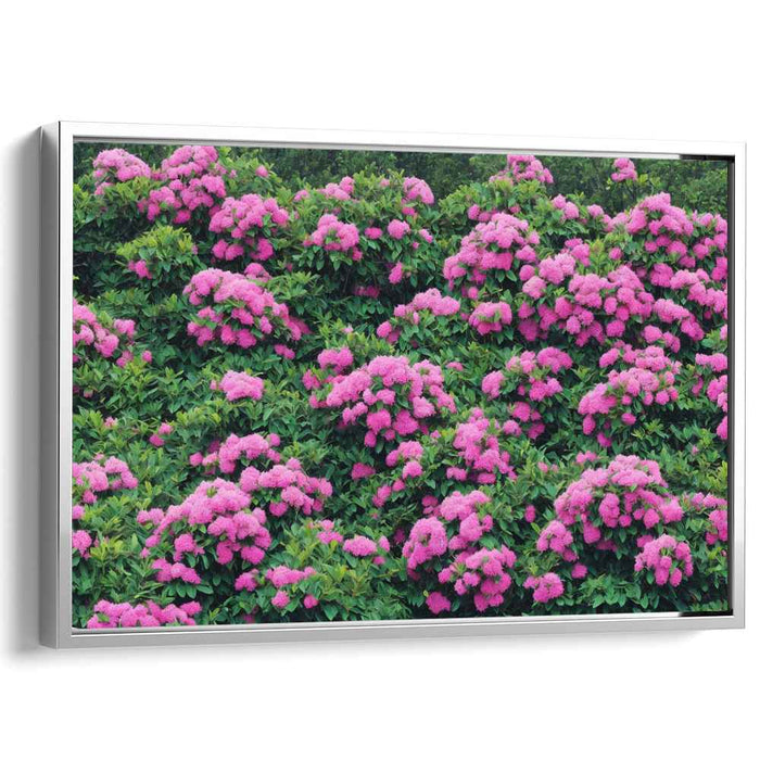 Modern Oil Rhododendron #135