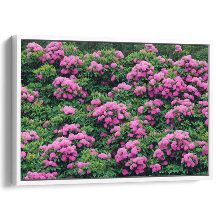 Modern Oil Rhododendron #135