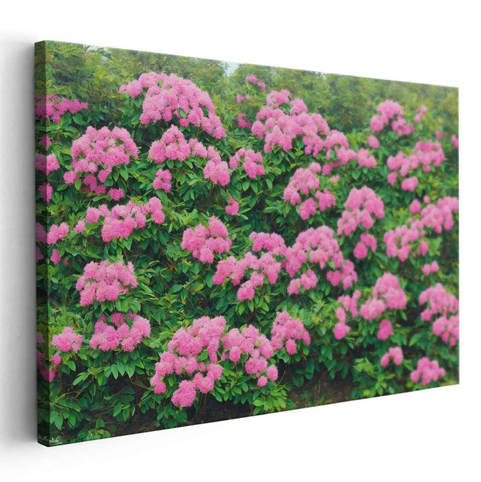 Modern Oil Rhododendron #136