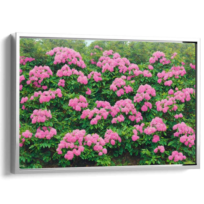 Modern Oil Rhododendron #136