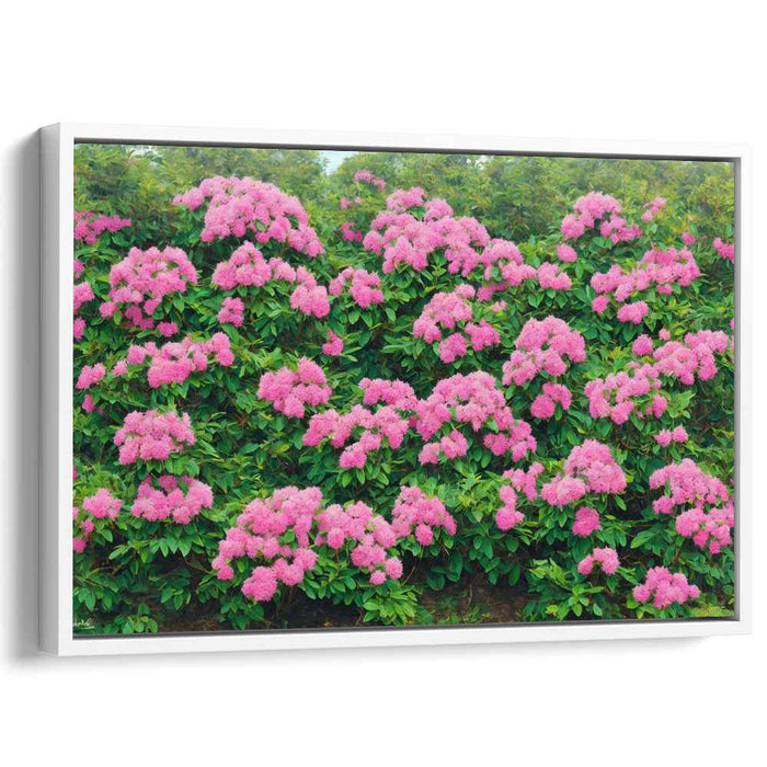 Modern Oil Rhododendron #136