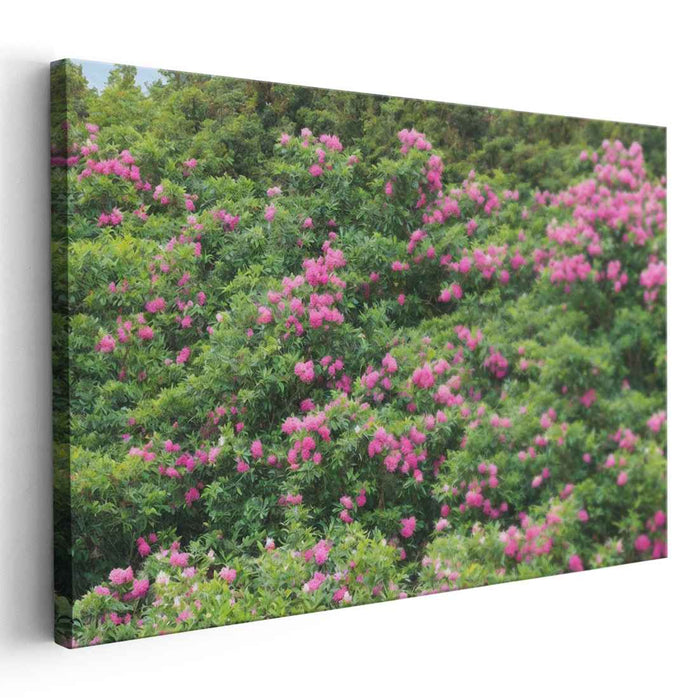 Modern Oil Rhododendron #138