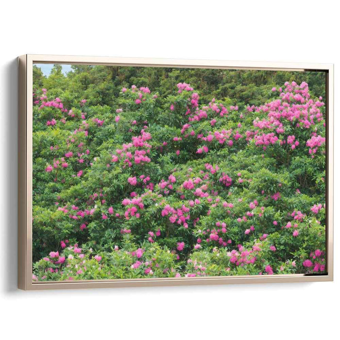 Modern Oil Rhododendron #138