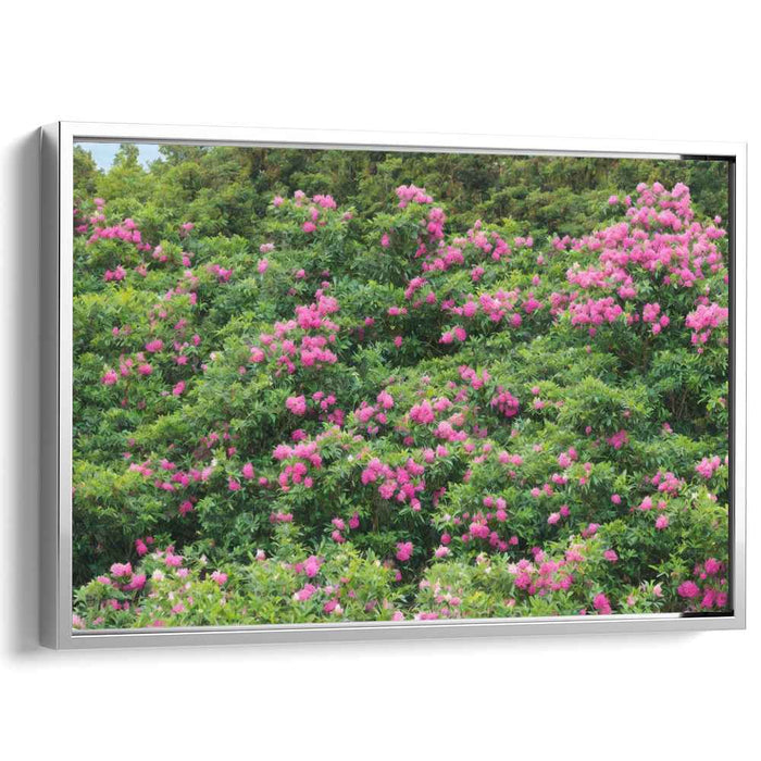 Modern Oil Rhododendron #138