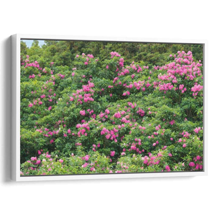 Modern Oil Rhododendron #138