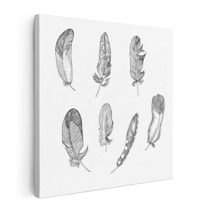 Intricate Feather Study: Detailed Black and White Pen and Ink Illustration