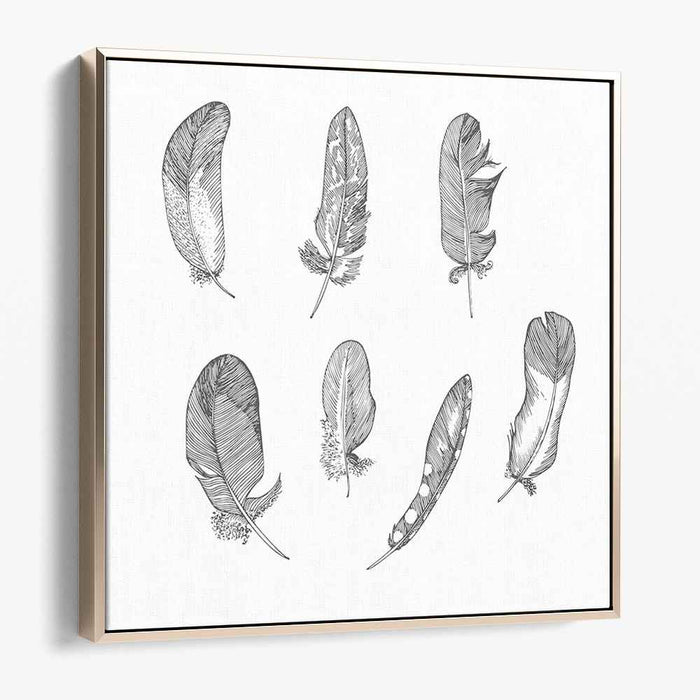 Intricate Feather Study: Detailed Black and White Pen and Ink Illustration