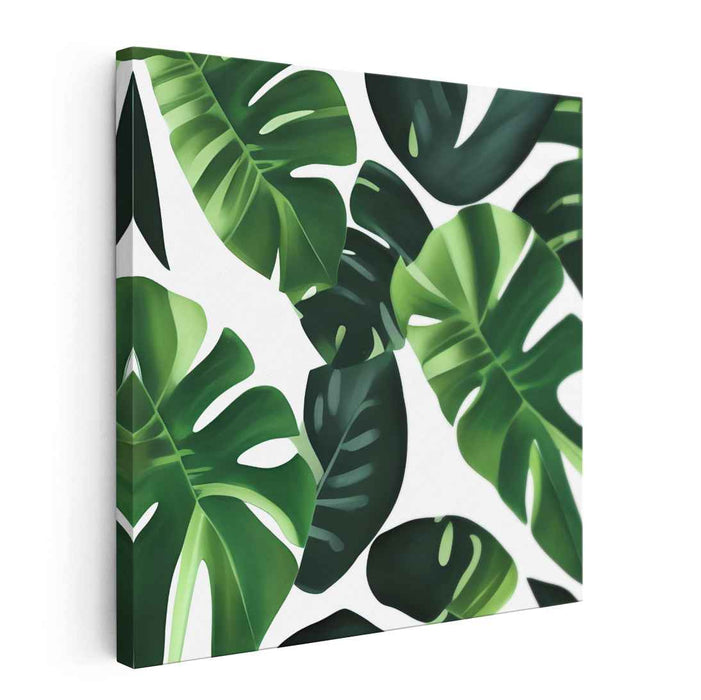 Monstera Leaves #003