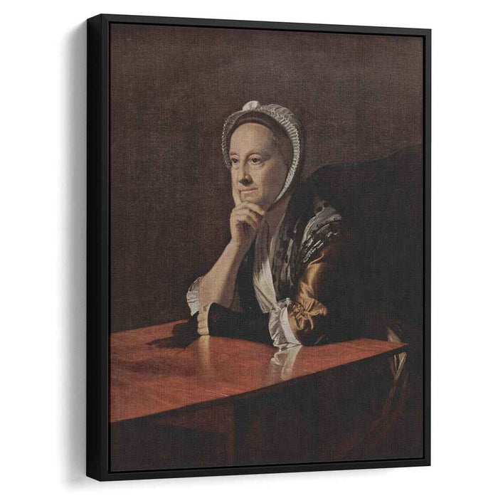 Mrs.Humphrey Devereux (1771) by John Singleton Copley