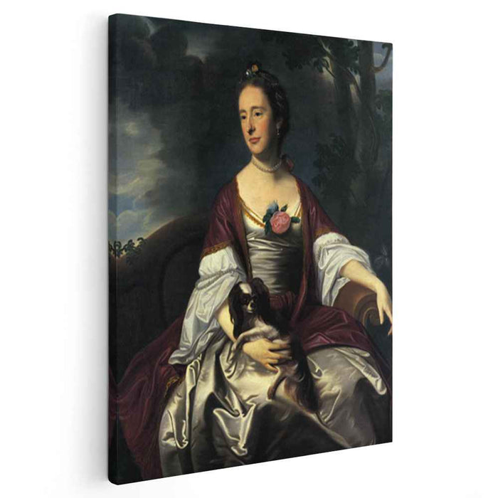 Mrs. Jerathmael Bowers (1763) by John Singleton Copley