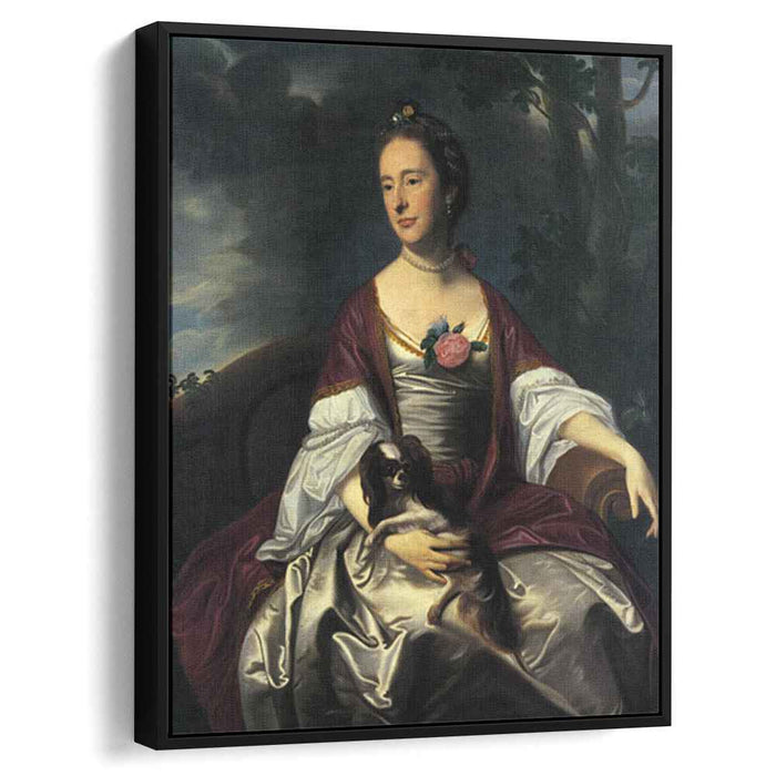 Mrs. Jerathmael Bowers (1763) by John Singleton Copley