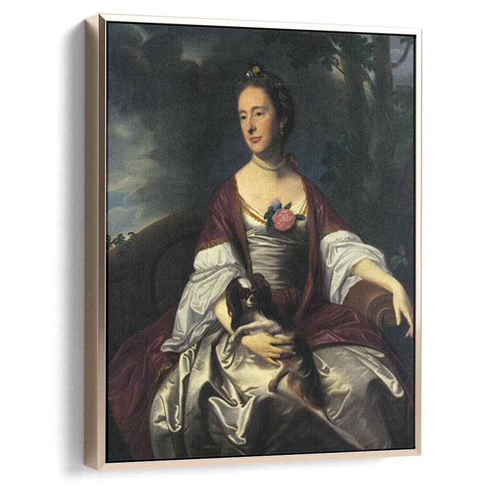Mrs. Jerathmael Bowers (1763) by John Singleton Copley