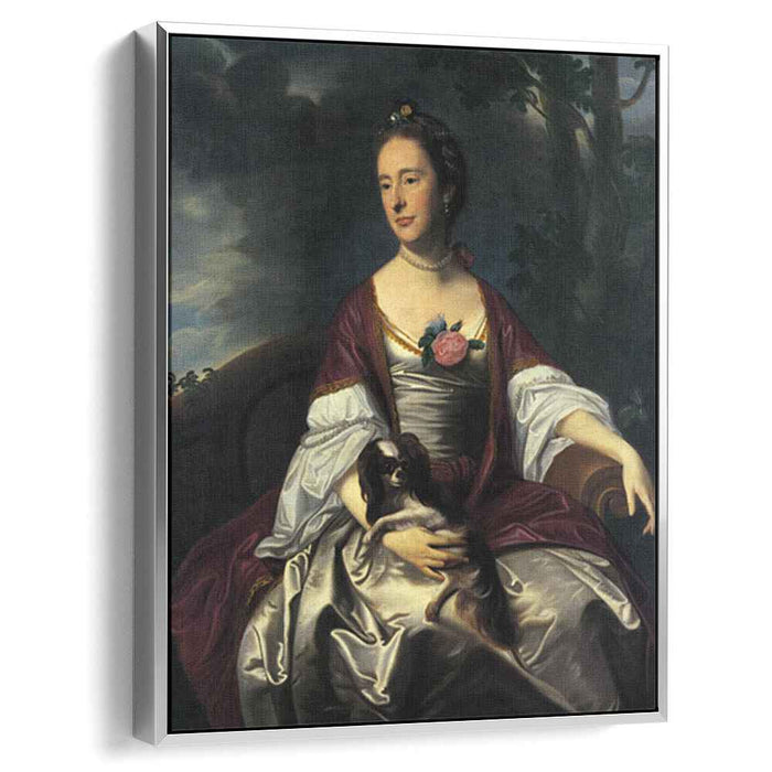 Mrs. Jerathmael Bowers (1763) by John Singleton Copley