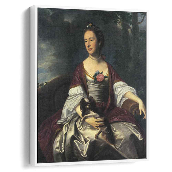 Mrs. Jerathmael Bowers (1763) by John Singleton Copley