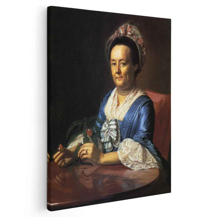 Mrs. John Winthrop (Hannah Fayerweather) (1773) by John Singleton Copley