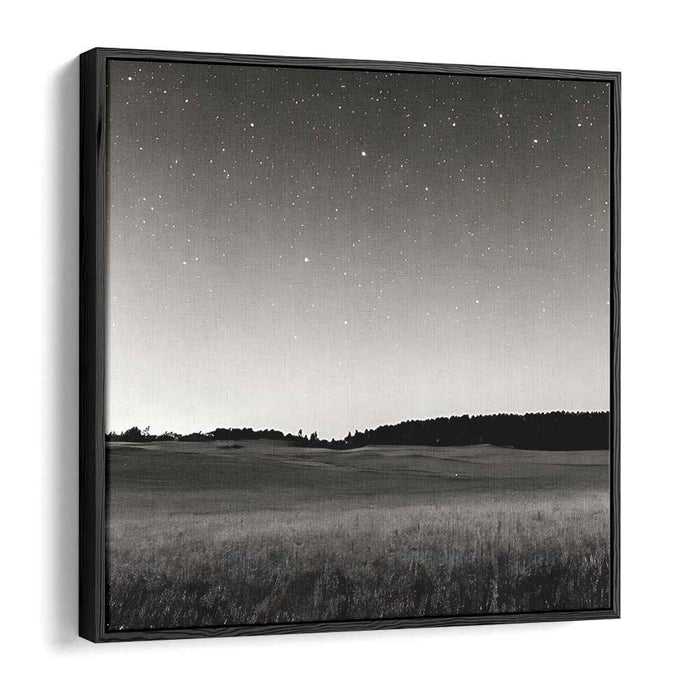 Moonlit Monochrome Mirage: Black and White Night Landscape Canvas Art Print